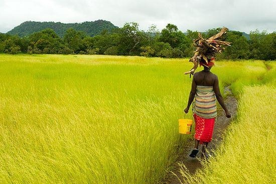 Casamance