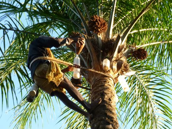 Casamance